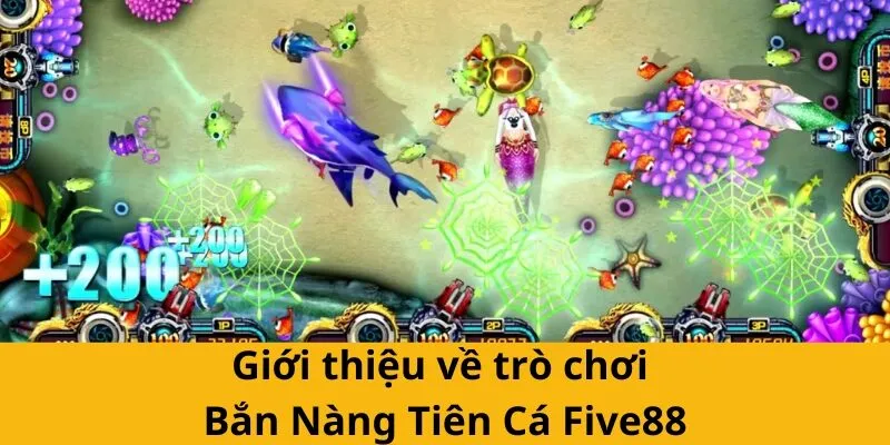 Bắn Nàng Tiên Cá Five88